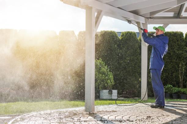  University Gardens, NY Pressure Washing Pros
